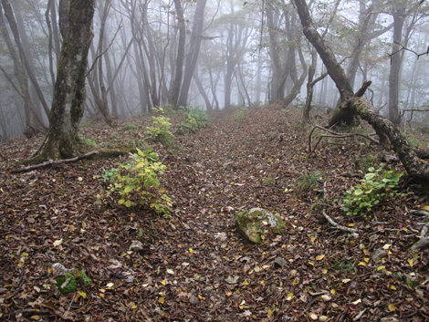 20151021hike (207)